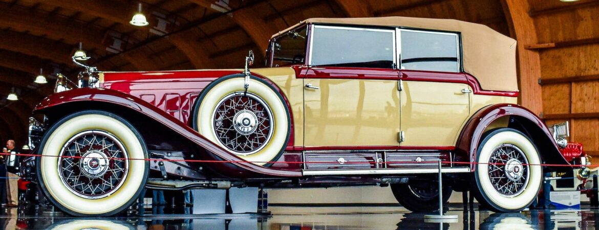 pexels-bryce-carithers-6694936 pexels-bryce-carithers-6694936