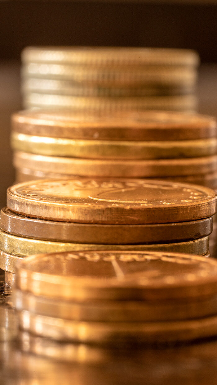 Investment & Fundraising Investment & Fundraising