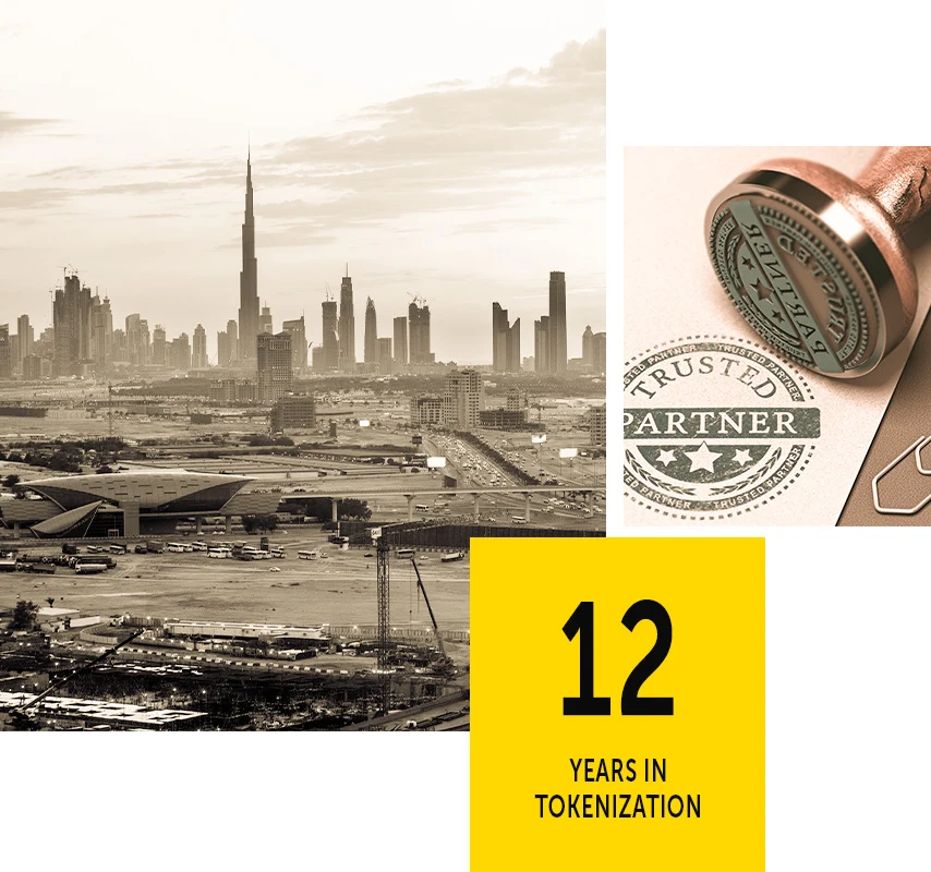 12 YEARS IN TOKENIZATION2 copy2 Tokenaly Solutions